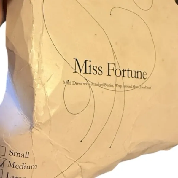 Underwraps Costumes Miss Fortune Halloween Costume Dress - Image 7