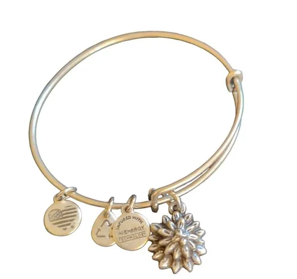 Alex and Ani Silver Water Lily Charm Bangle Bracelet Adjustable - Image 2