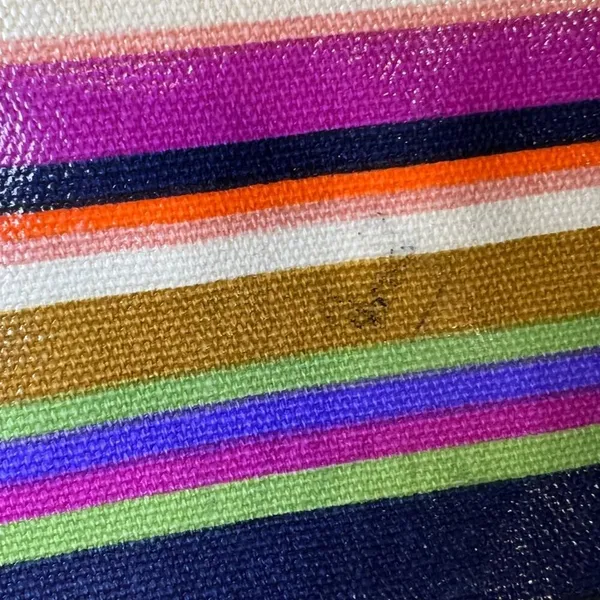 Fossil Striped Coated Canvas Crossbody Bag - Image 6