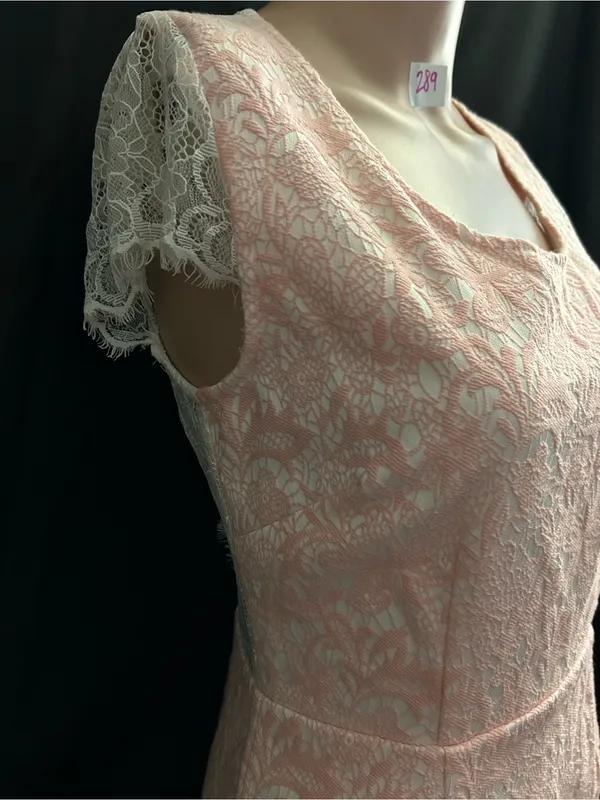 Moon Sleeveless Pink Lace Sheath Dress XS - SM - Image 5