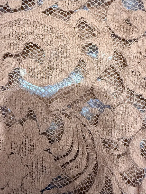 Ann Taylor Rust Lace Short-Sleeve Blouse - Image 6