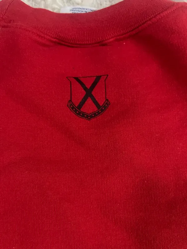 Old Row Champion Pullover  - Image 6