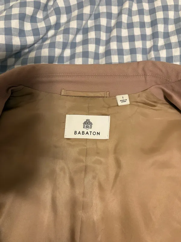 Babaton Aritzia Blazer - Image 2