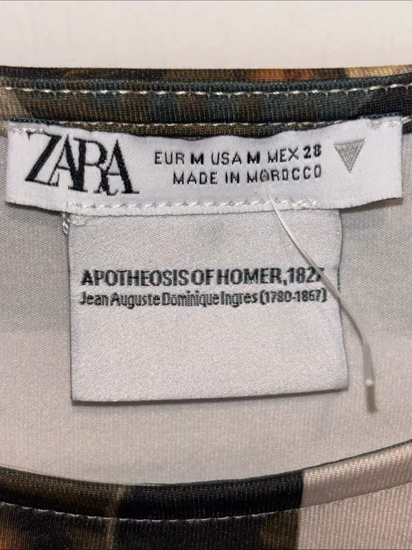Zara…Apotheosis Of Homer 1827….Tan L/S Top With Pictures Of Homer Size Medium - Image 3