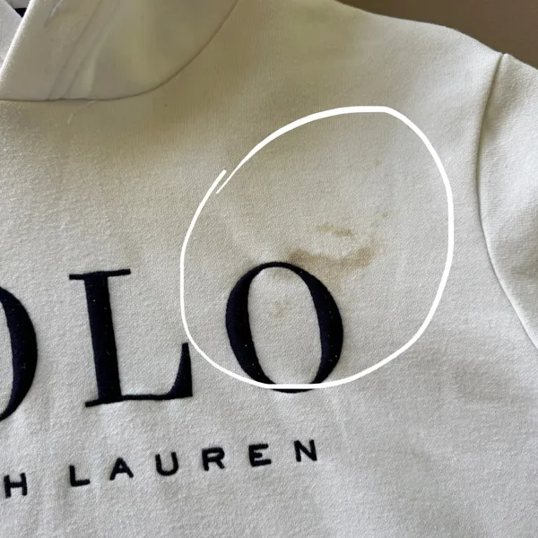 Polo Ralph Lauren Logo Fleece Hoodie - Image 5