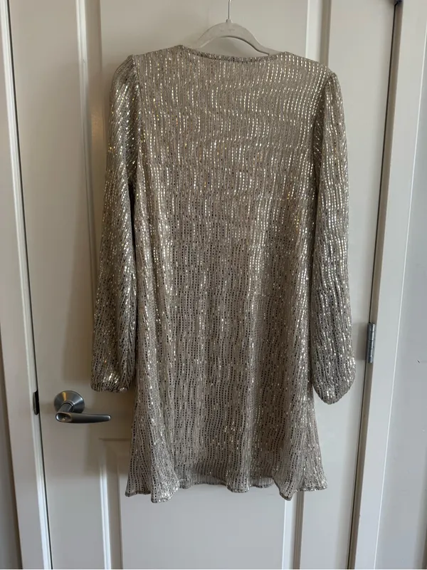 Carmela Silver Sequin V-Neck Long-Sleeve Mini Dress - Evening Glam - Image 5