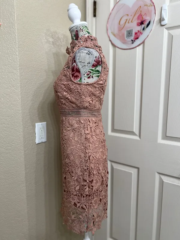 Bardot Paris Lace High Neck Dress Pink Size 4 NWT Cocktail Wedding Guess - Image 5