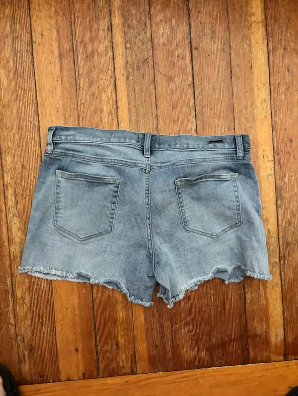 Carve Designs Light Blue Denim Jean Shorts - Image 4
