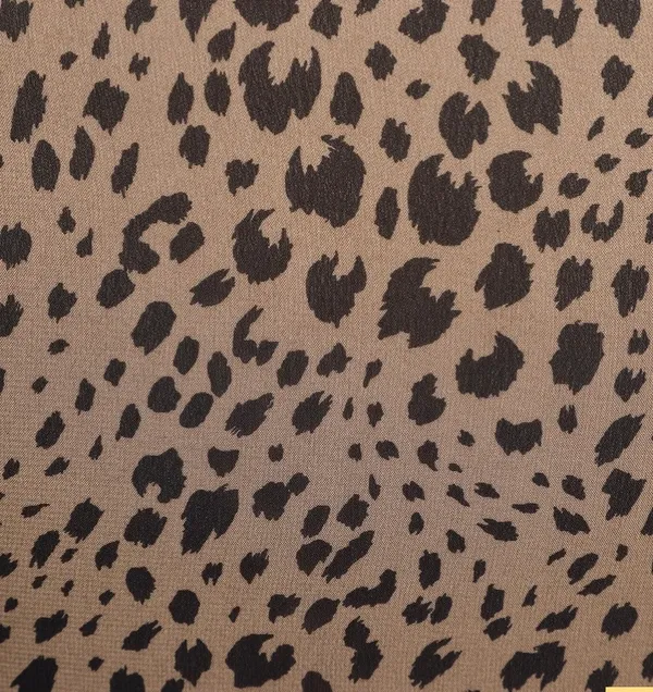 Balloon Sleeve Leopard Top - Image 4