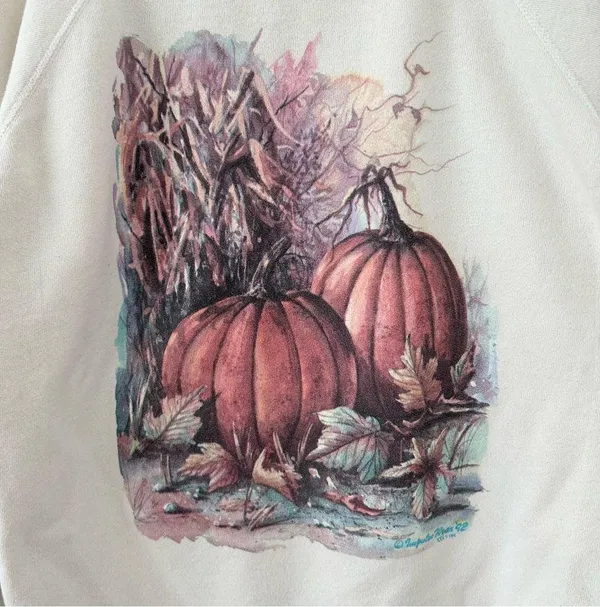 Hanes Activewear 1992 Impulse Wear Pumpkin Fall Autumn Sweatshirt - Image 3