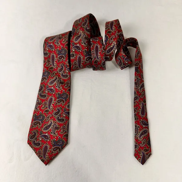 Rooster West End Collection Men's Tie Silk Paisley Burgundy Multicolor Necktie - Image 3