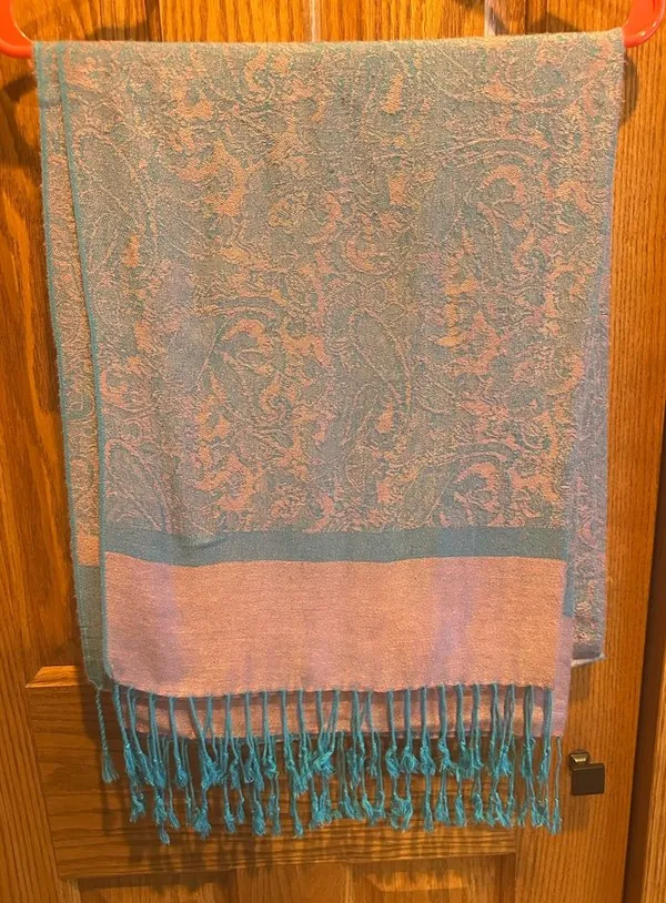 Jacquard Paisley Silk Pashmina Pink Teal Blue Fringe Wrap Shawl - Image 2