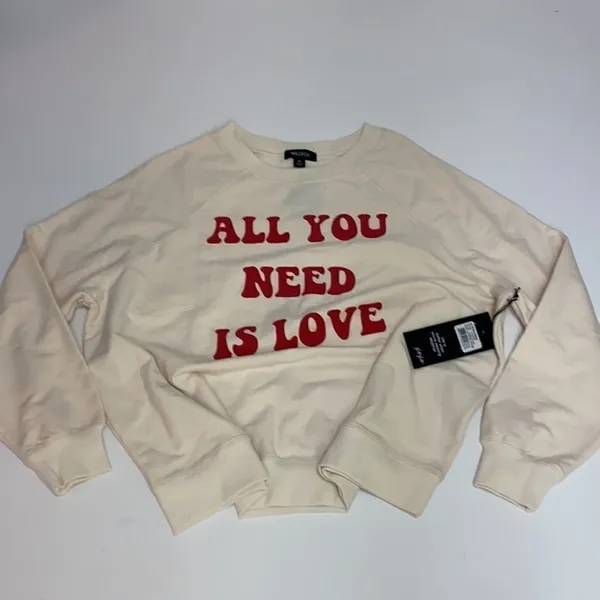 Wildfox All you need‎ is love sommers sweatshirt C29 - Image 2