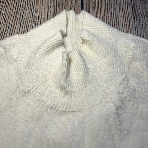 Aerie Offline Colorblock Mock Neck Sweater Pullover Blue White Womens L‎ Cozy - Image 3