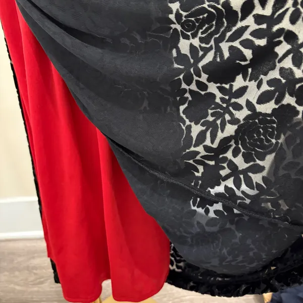 VTG 90s Roberta Black Red‎ Burnout Velvet Rose Maxi Dress Large Vampy Whimsigoth - Image 6