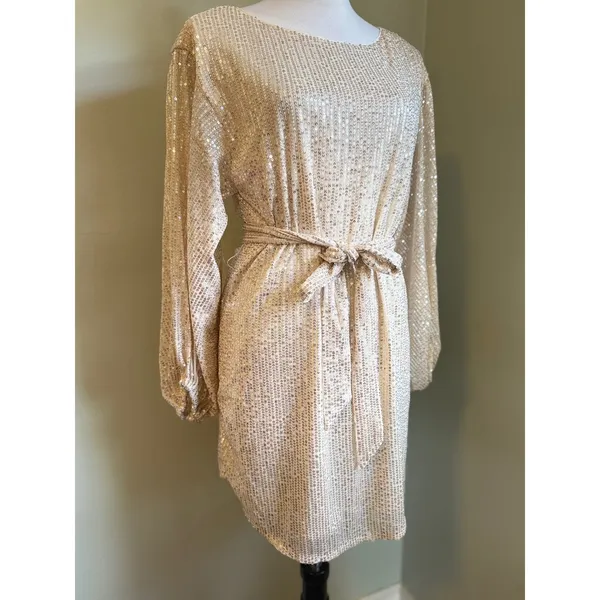 Vine & Love Sparkling Gold Sequin Long Sleeve Belted‎ Mini Dress Party Glam Y2K boho fairy - Image 3