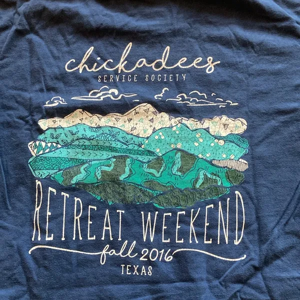 Comfort Colors Mountain Range Abstract Blue Teal Chickadees T-Shirt Medium EUC - Image 2