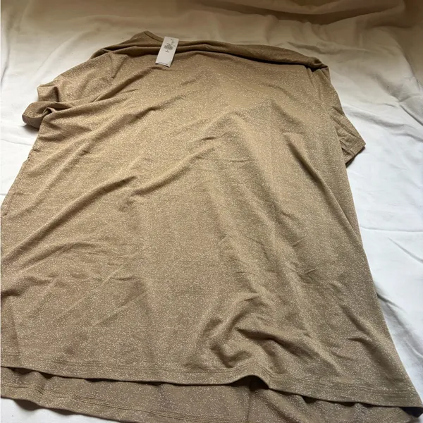 Zara Shimmering Gold Top - Image 10
