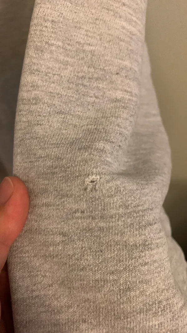 Champion Vintage Sweatershirt - Image 2