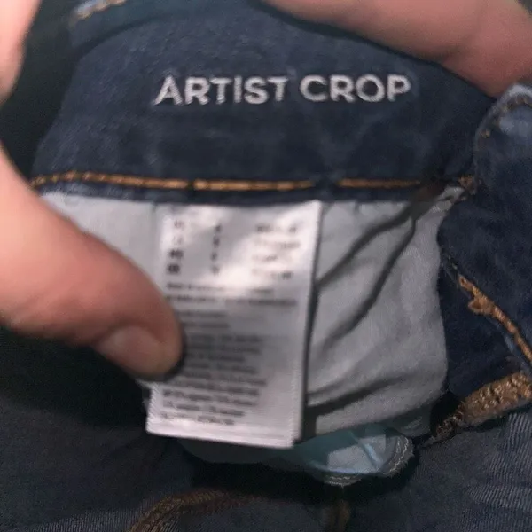 American Eagle distressed basic Artist crop size 6 jeans - Image 4