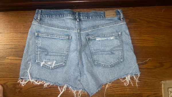 American Eagle Outfitters Shorts - Image 2
