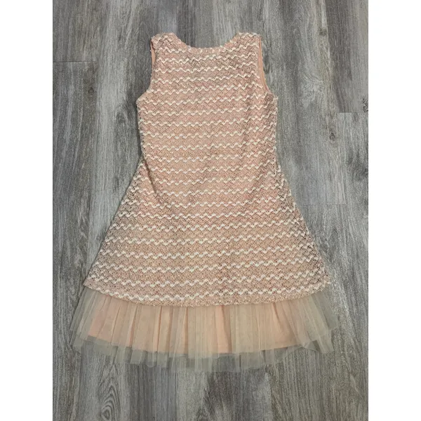 Ryu Anthropologie Peach Sequin Chevron Lace Tulle‎ Mini Dress Womens Large - Image 3