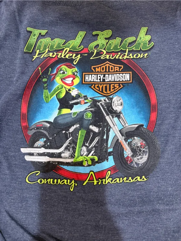 Harley-Davidson Blue Tee with Green Floral Lettering and Pink Script - Image 3