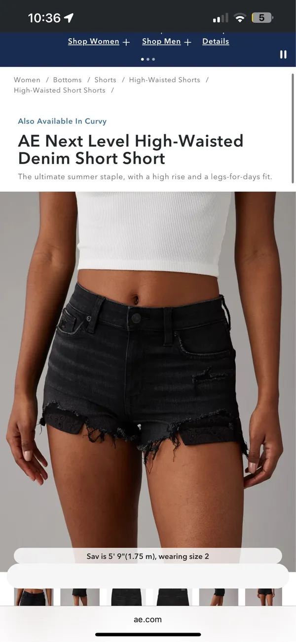 American Eagle - Image 4