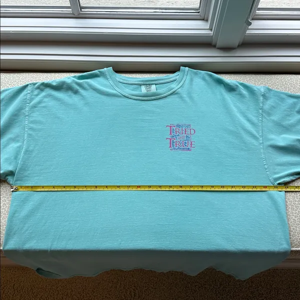 Comfort Colors “Tried and True” Lab Puppy Dog Aqua Short Sleeve T-Shirt size 2XL - Image 7