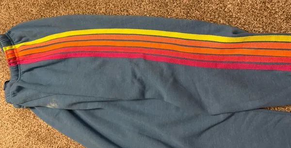 Aviator Nation Sweatpants - Image 2
