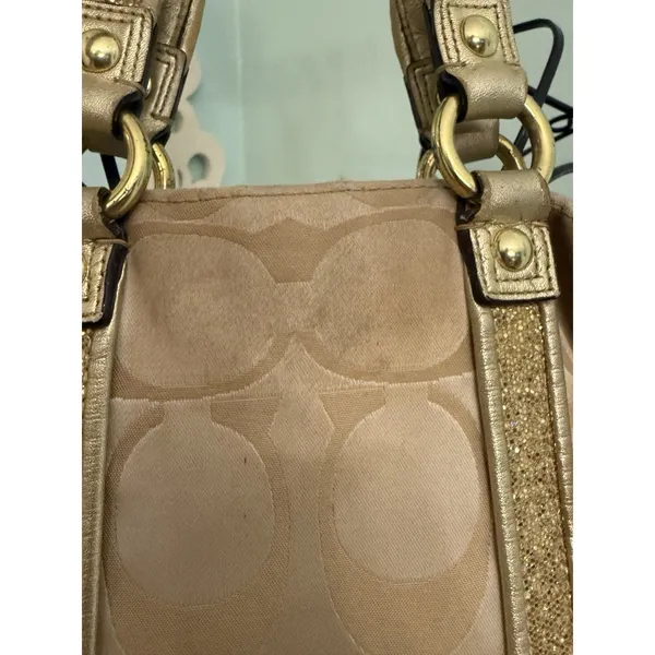 Coach Poppy Applique Gold Multi Crossbody Bag Floral Purse - Image 7