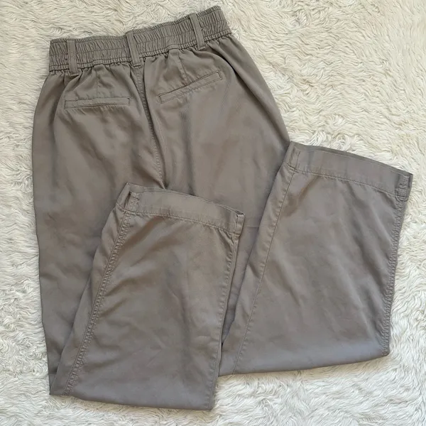 Madewell Pants Lanie Pleat Front Straight Leg High Waist Pumice Sz 0 - Image 3