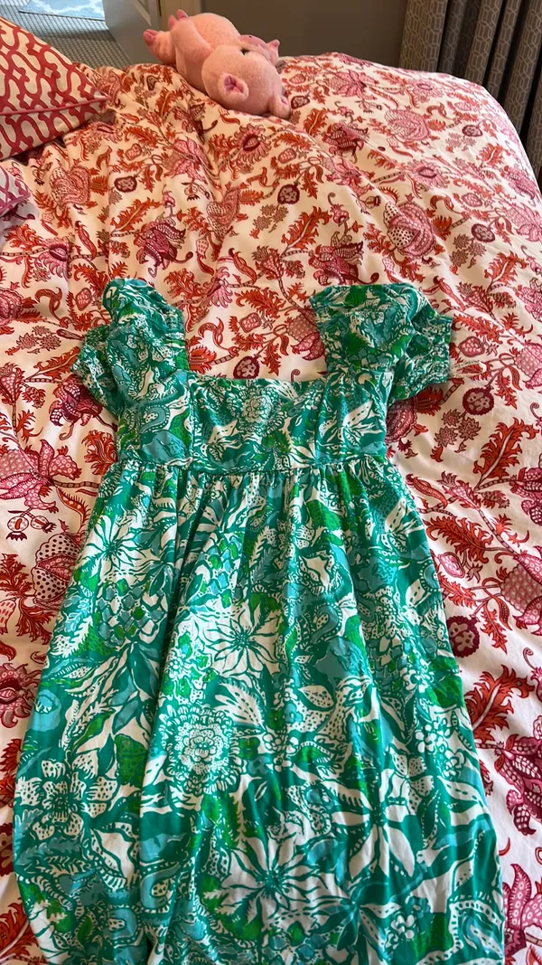 Lily Pulitzer Lilly Dress - Image 4