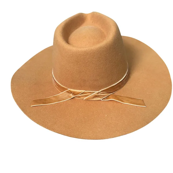 NWT Wyeth X Urban Outfitter 100% Wool Felt River Rancher Hat Honey Velvet Band - Image 4