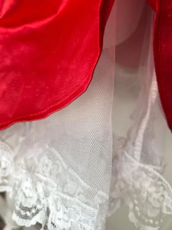 Vintage Rubies Southern Belle Costume - Image 4