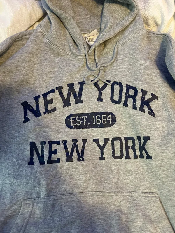 New York Hoodie Gray Size L - Image 2