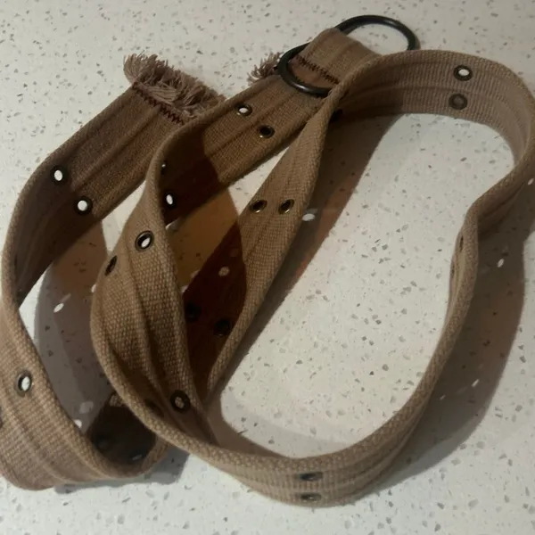 Belt Canvas Rivet Tan - Image 2