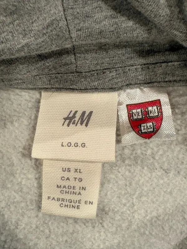 H&M Gray Harvard hoodie - Image 4