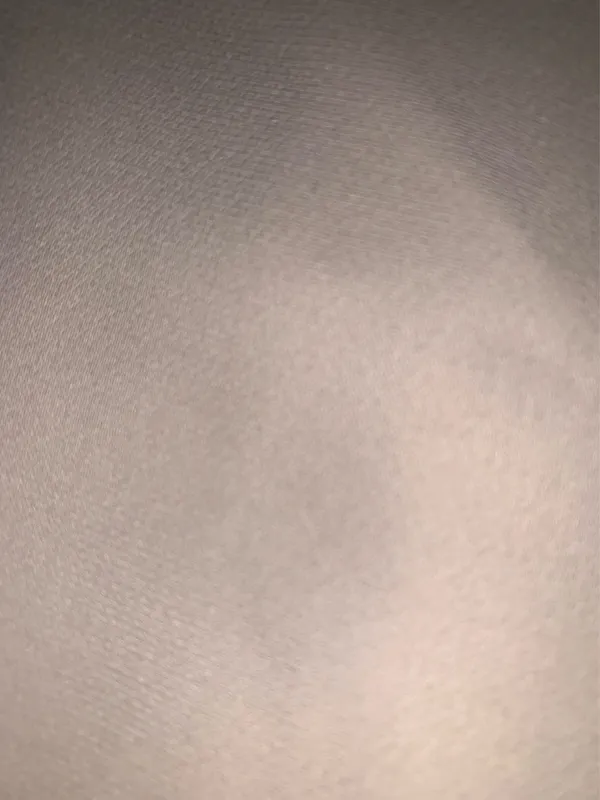 Kate Hill Dress Pants - Image 5