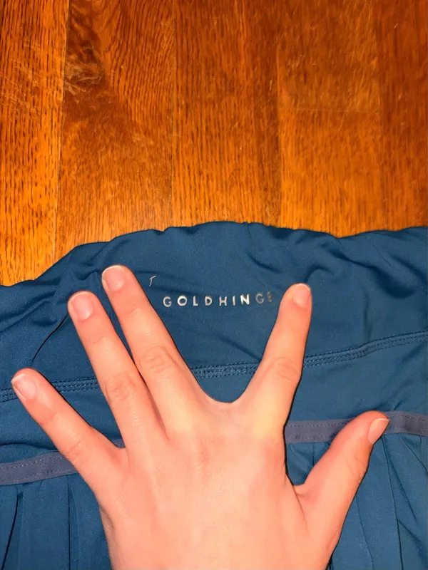 Gold Hinge Skirt - Image 3