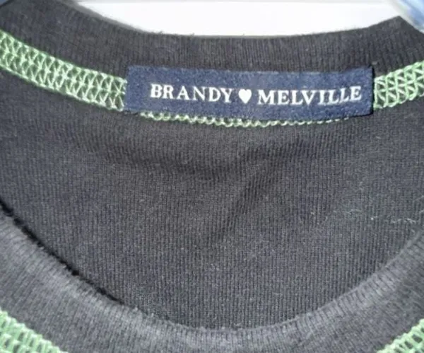 Brandy Melville Connor Dragon Embroidered Crop Tank Top - Image 3
