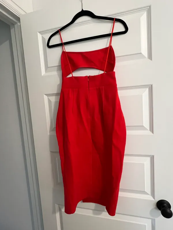 Revolve Dress - Image 4