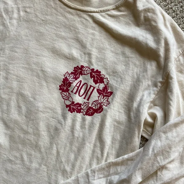 Comfort Colors Alpha Omicron Pi Smoke Out Arthritis Tan Long Sleeve T-Shirt S - Image 2