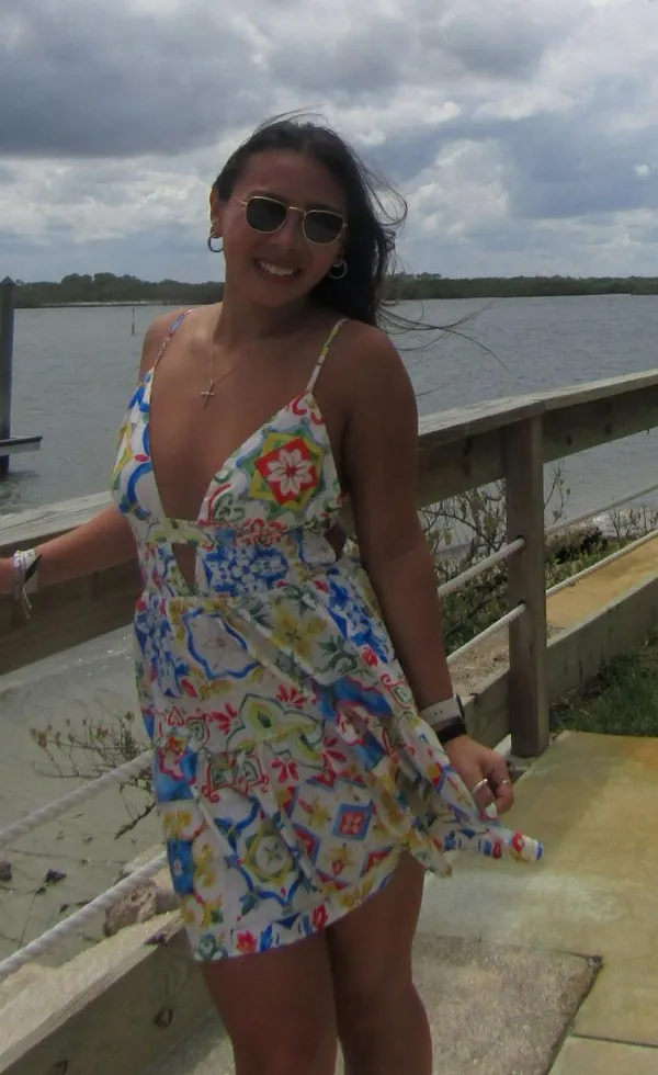 Shein Dress - Image 3