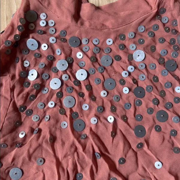 Zara Terracotta Sequin Blouse - Image 2