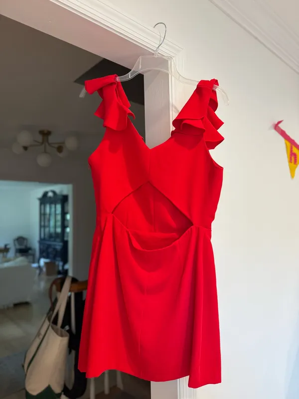 Red Amanda Uprichard Mini Dress - Image 2