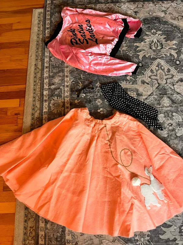 Handmade Pink poodle skirt Halloween costume - Image 3