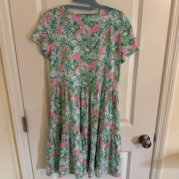 Lilly Pulitzer Geanna Short Sleeve Swing Dress Botanical Green Just Wing It Sm - Image 4