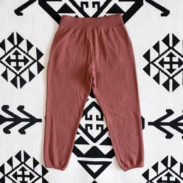 Aerie The Destroyed City Jogger in Brown-Rust Medium - Image 8