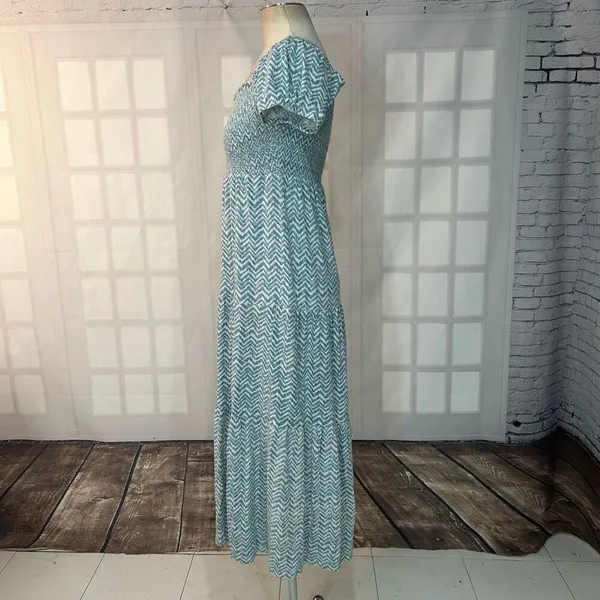 Daily Practice Anthropologie Blue and White Chevron smocked tiered Maxi Dress Si - Image 6